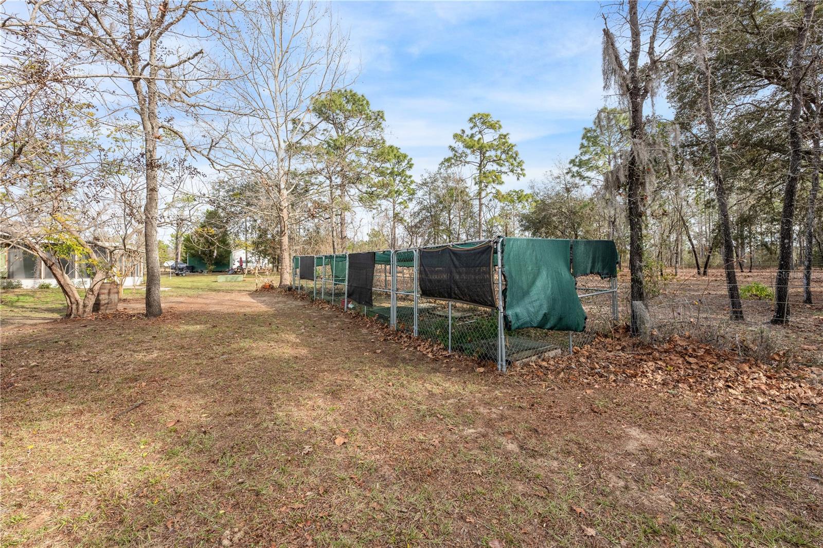 451 SE 140TH AVE, WILLISTON, FL, 32696