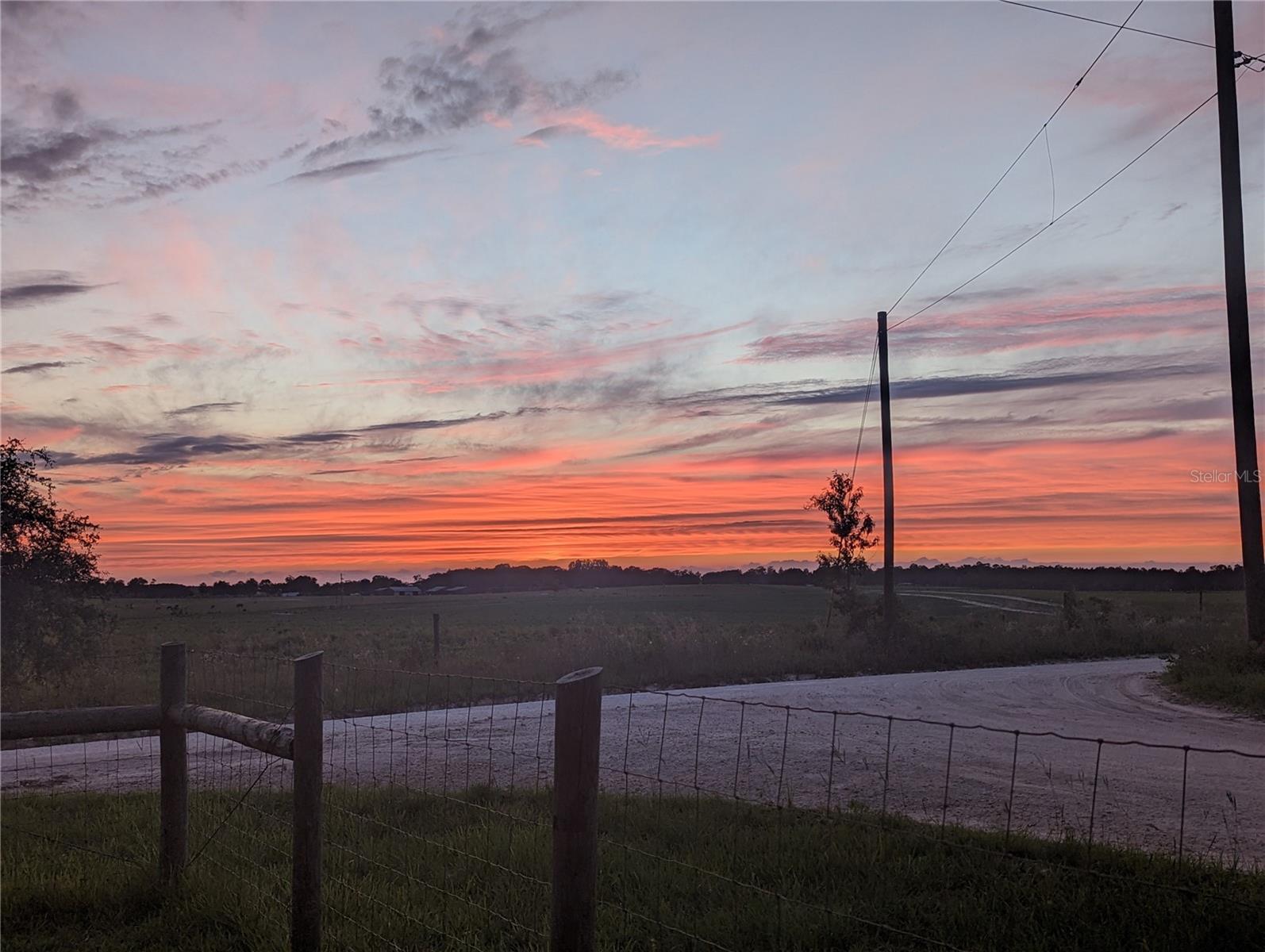 451 SE 140TH AVE, WILLISTON, FL, 32696