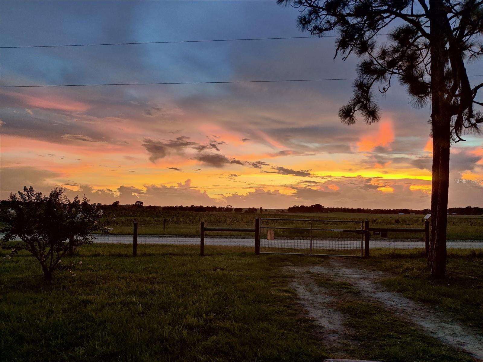 451 SE 140TH AVE, WILLISTON, FL, 32696