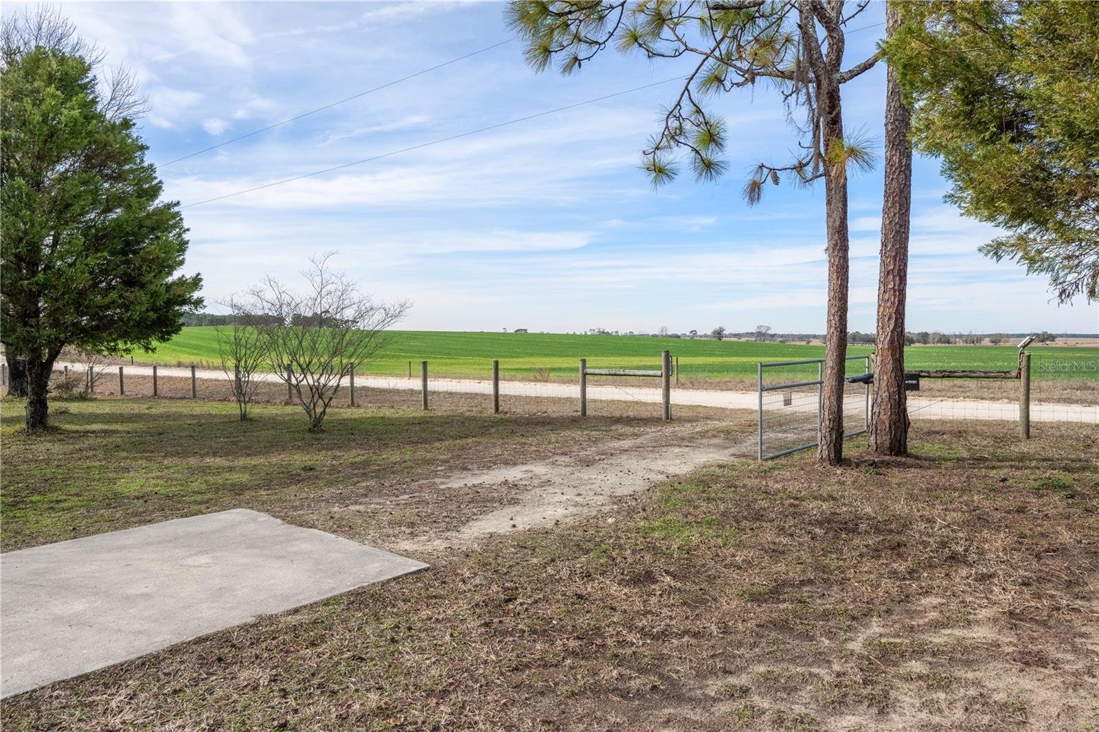 451 SE 140TH AVE, WILLISTON, FL, 32696