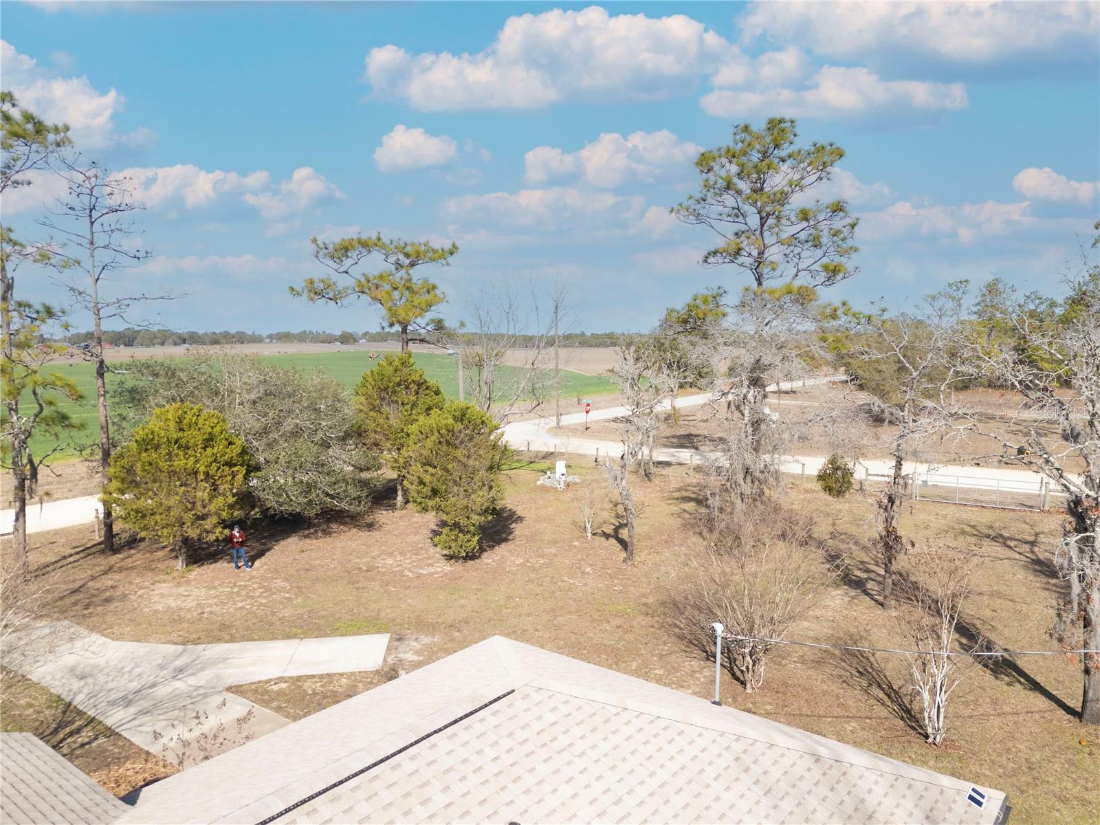 451 SE 140TH AVE, WILLISTON, FL, 32696
