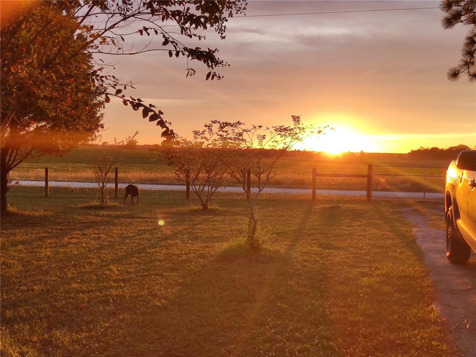 451 SE 140TH AVE, WILLISTON, FL, 32696