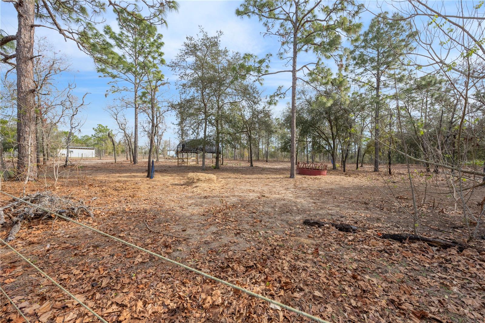 451 SE 140TH AVE, WILLISTON, FL, 32696