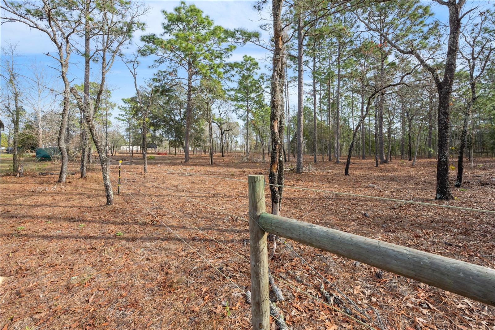 451 SE 140TH AVE, WILLISTON, FL, 32696