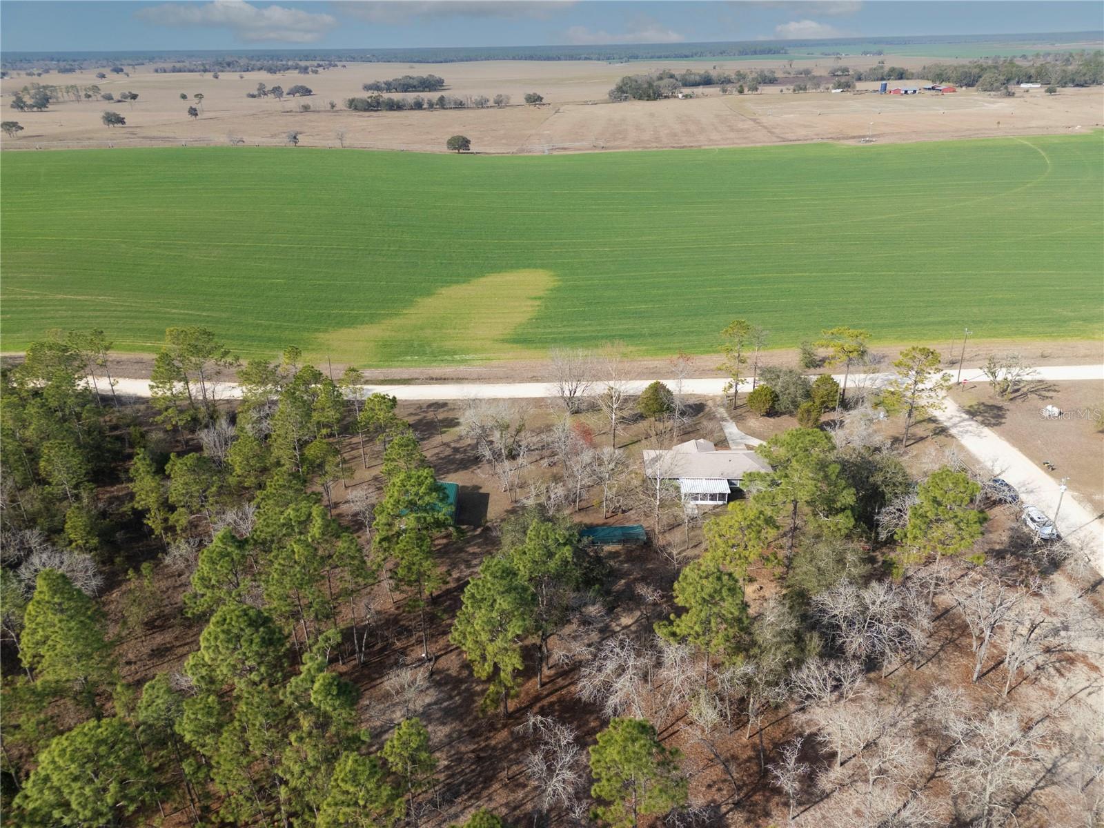 451 SE 140TH AVE, WILLISTON, FL, 32696