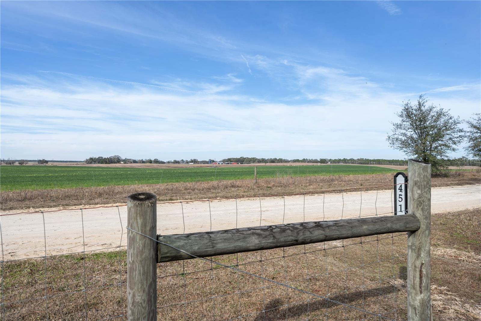 451 SE 140TH AVE, WILLISTON, FL, 32696