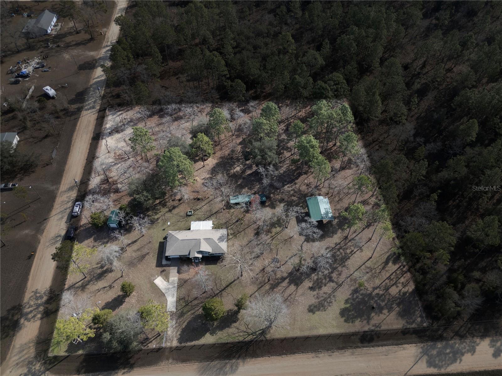 451 SE 140TH AVE, WILLISTON, FL, 32696