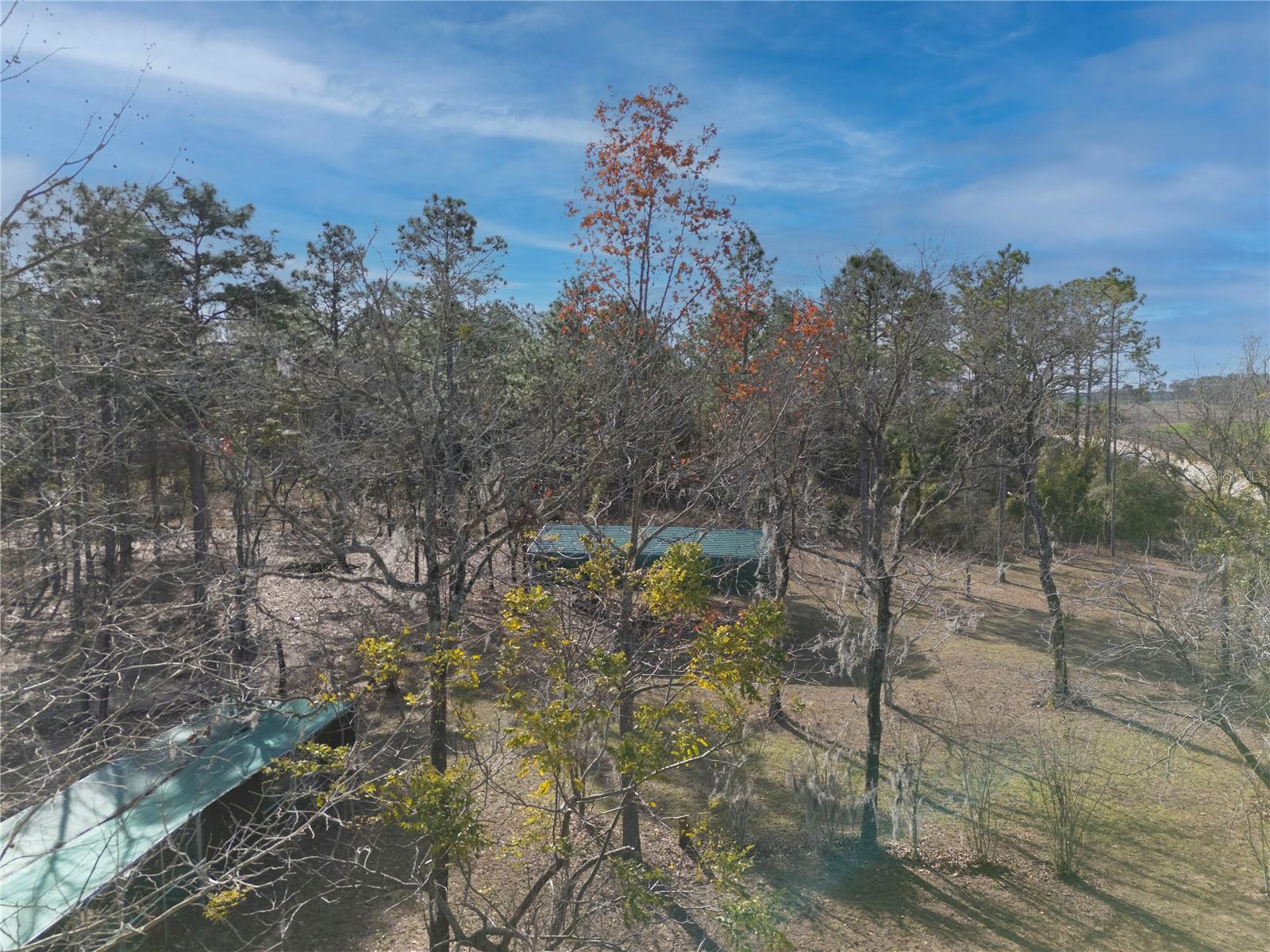 451 SE 140TH AVE, WILLISTON, FL, 32696
