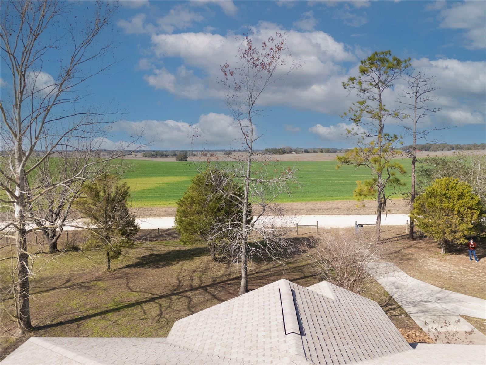 451 SE 140TH AVE, WILLISTON, FL, 32696