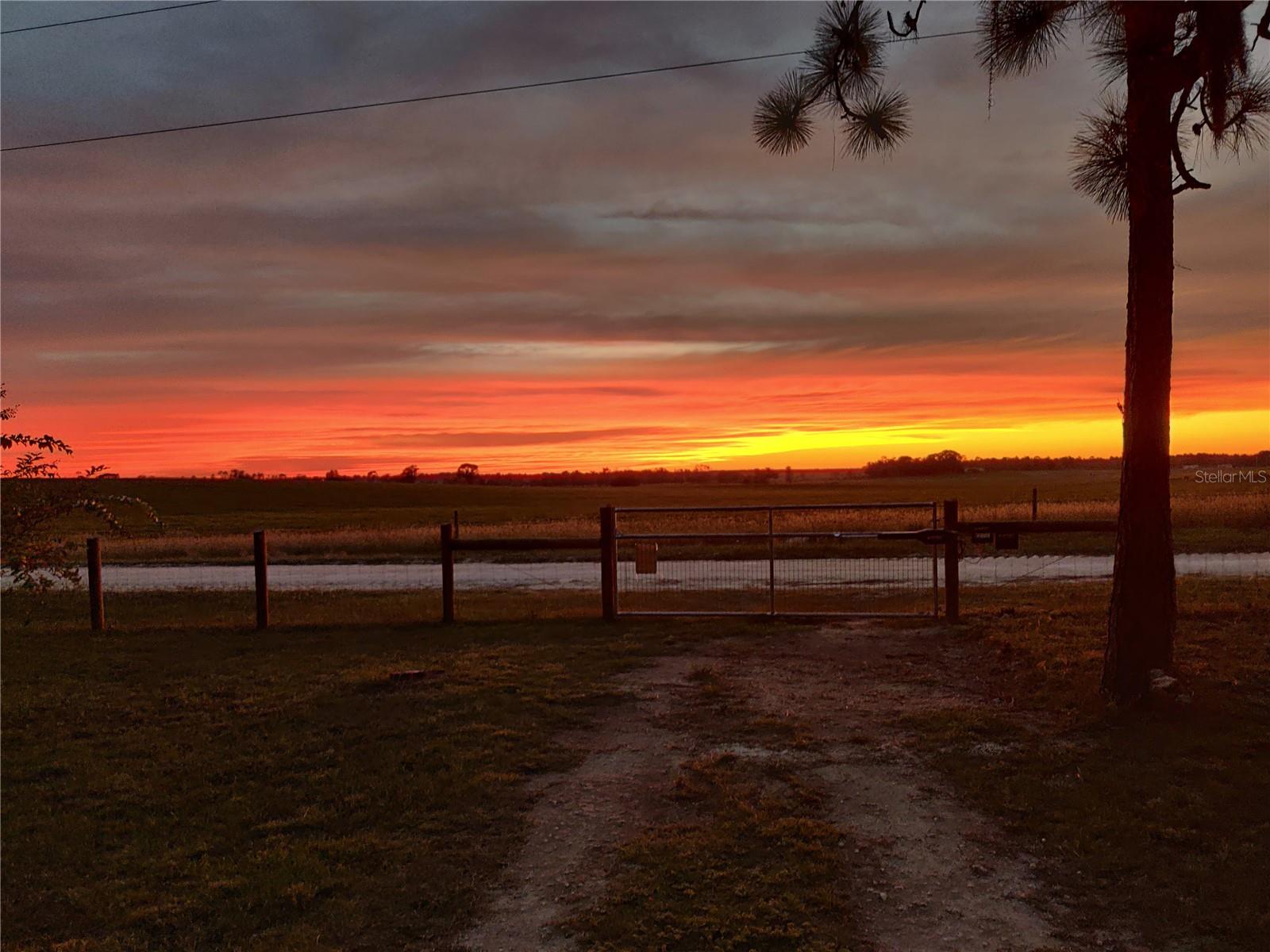 451 SE 140TH AVE, WILLISTON, FL, 32696