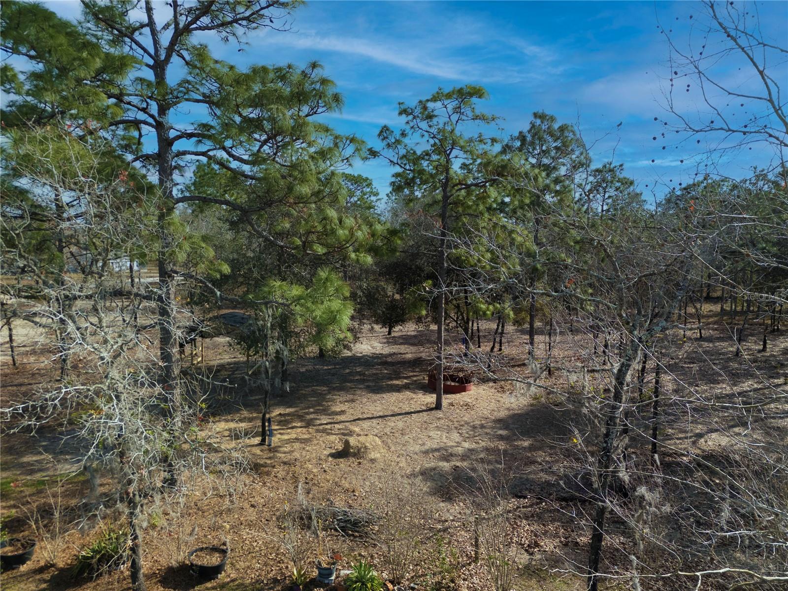 451 SE 140TH AVE, WILLISTON, FL, 32696