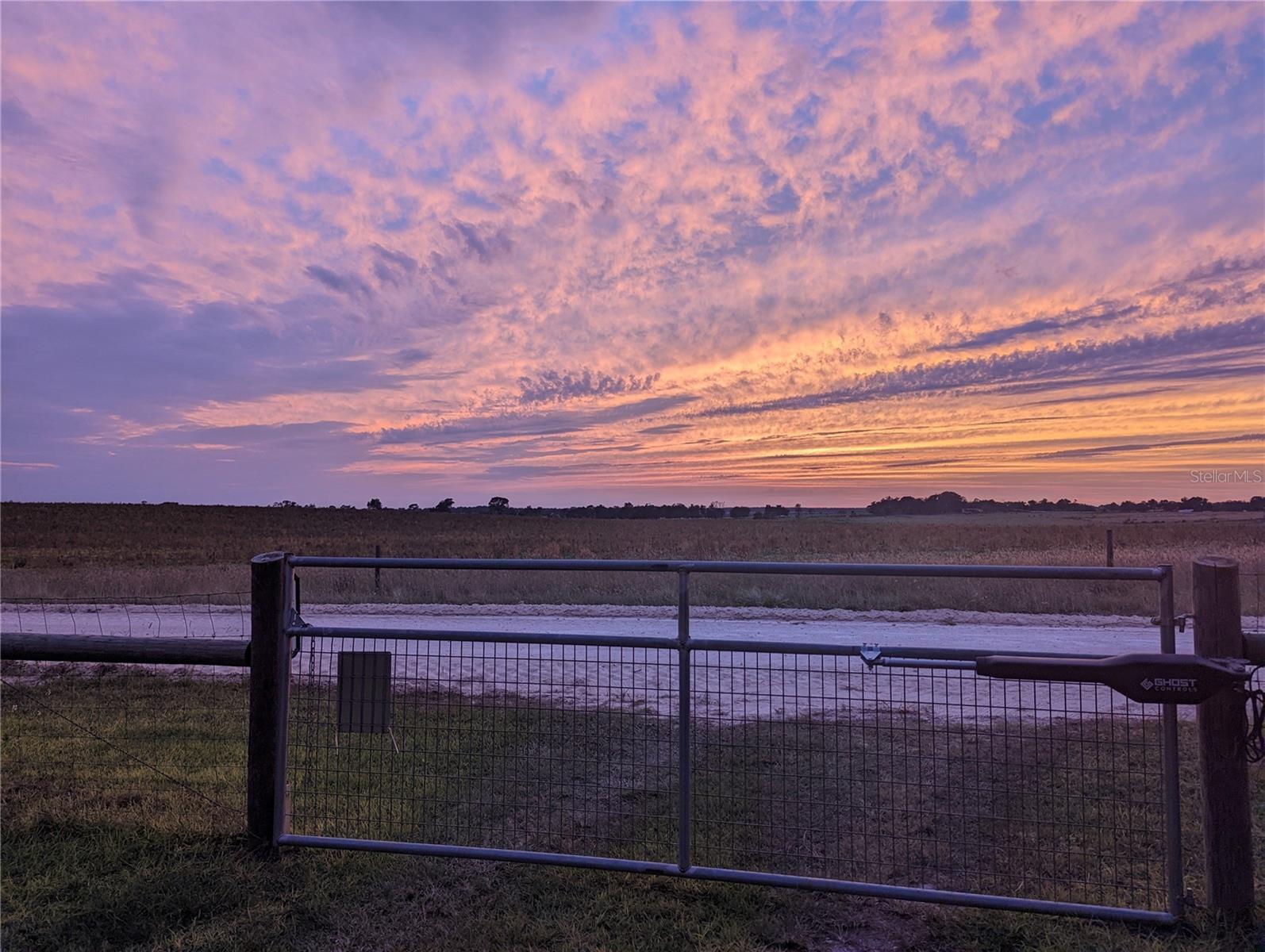 451 SE 140TH AVE, WILLISTON, FL, 32696