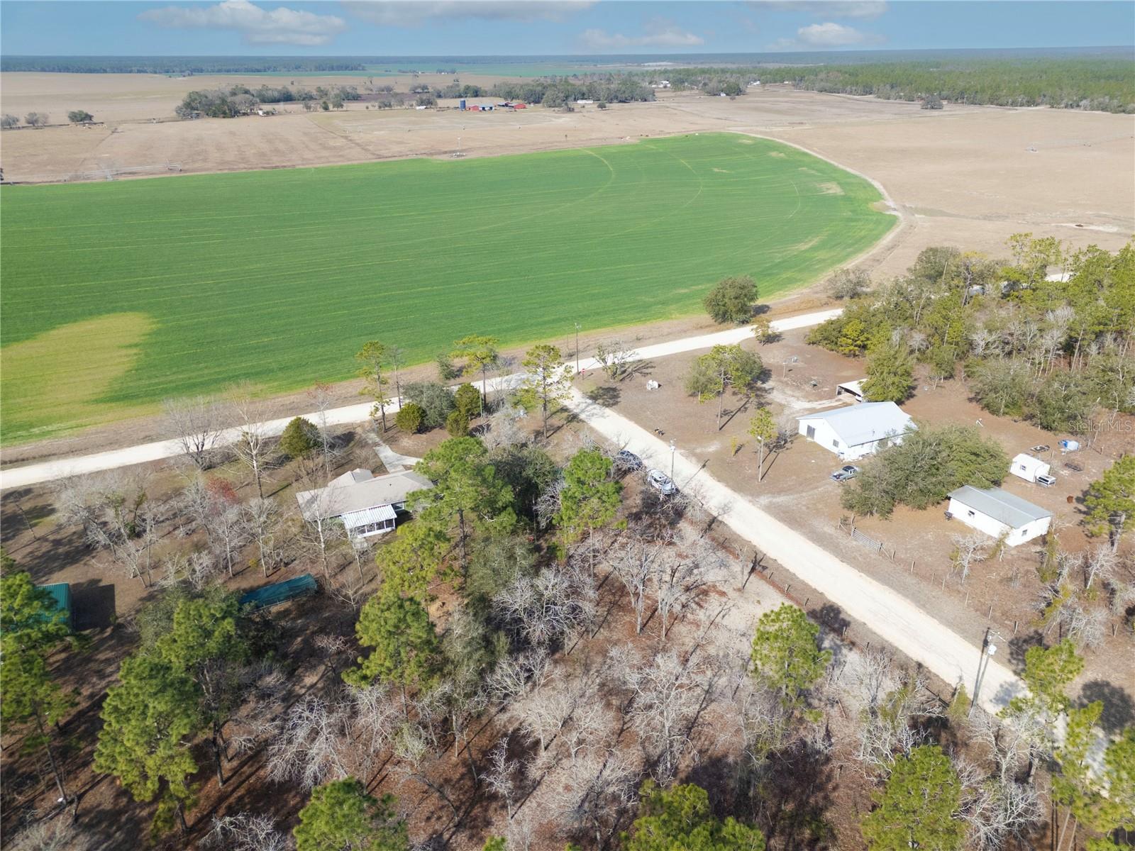 451 SE 140TH AVE, WILLISTON, FL, 32696
