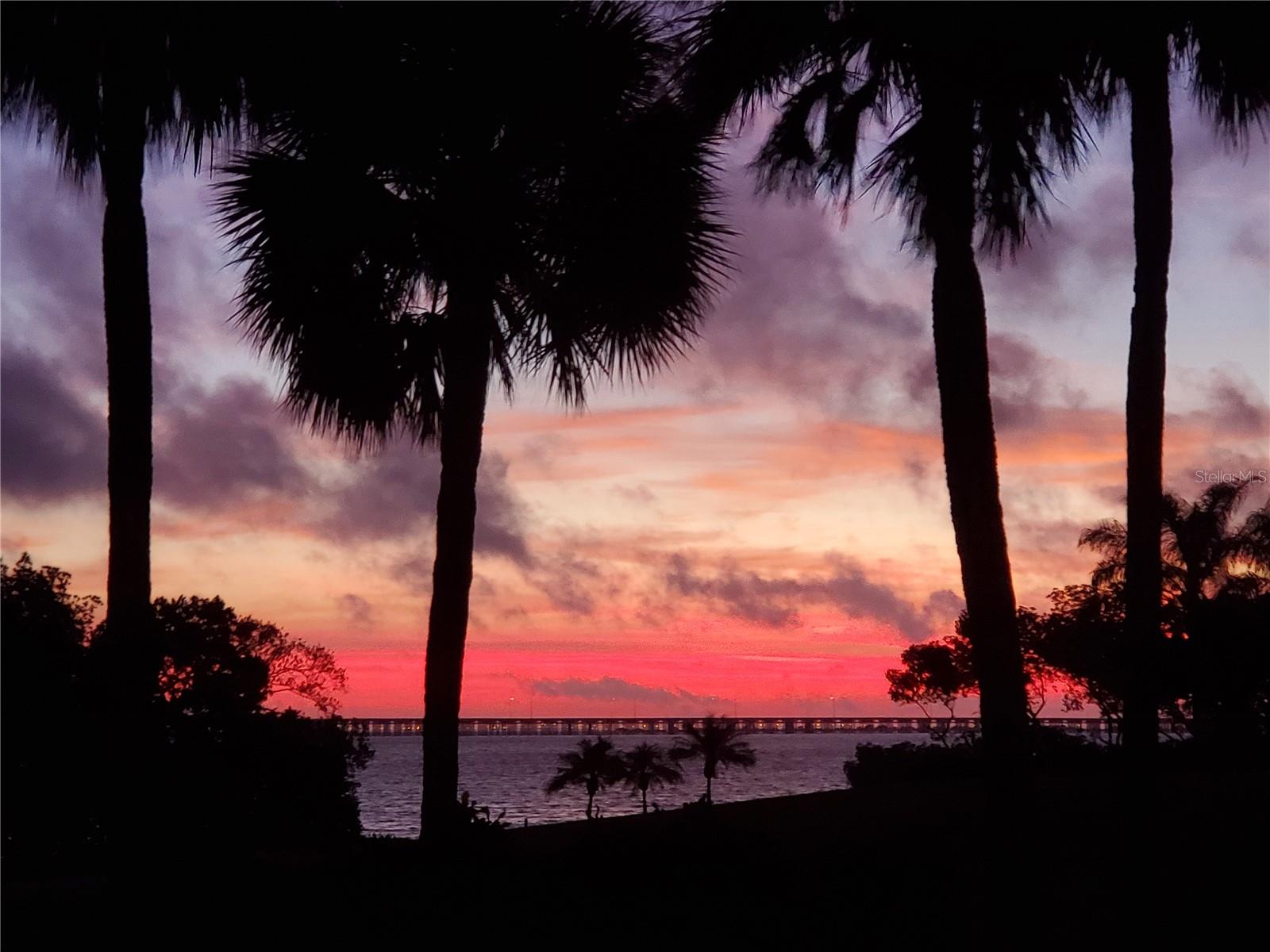 2616 COVE CAY DR #102, CLEARWATER, FL, 33760