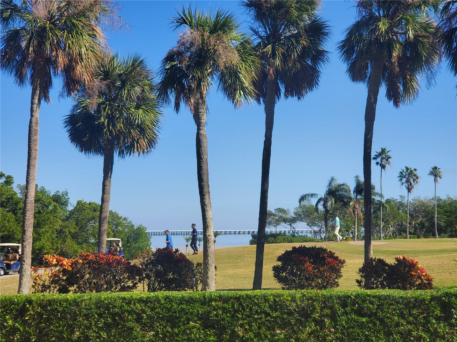2616 COVE CAY DR #102, CLEARWATER, FL, 33760