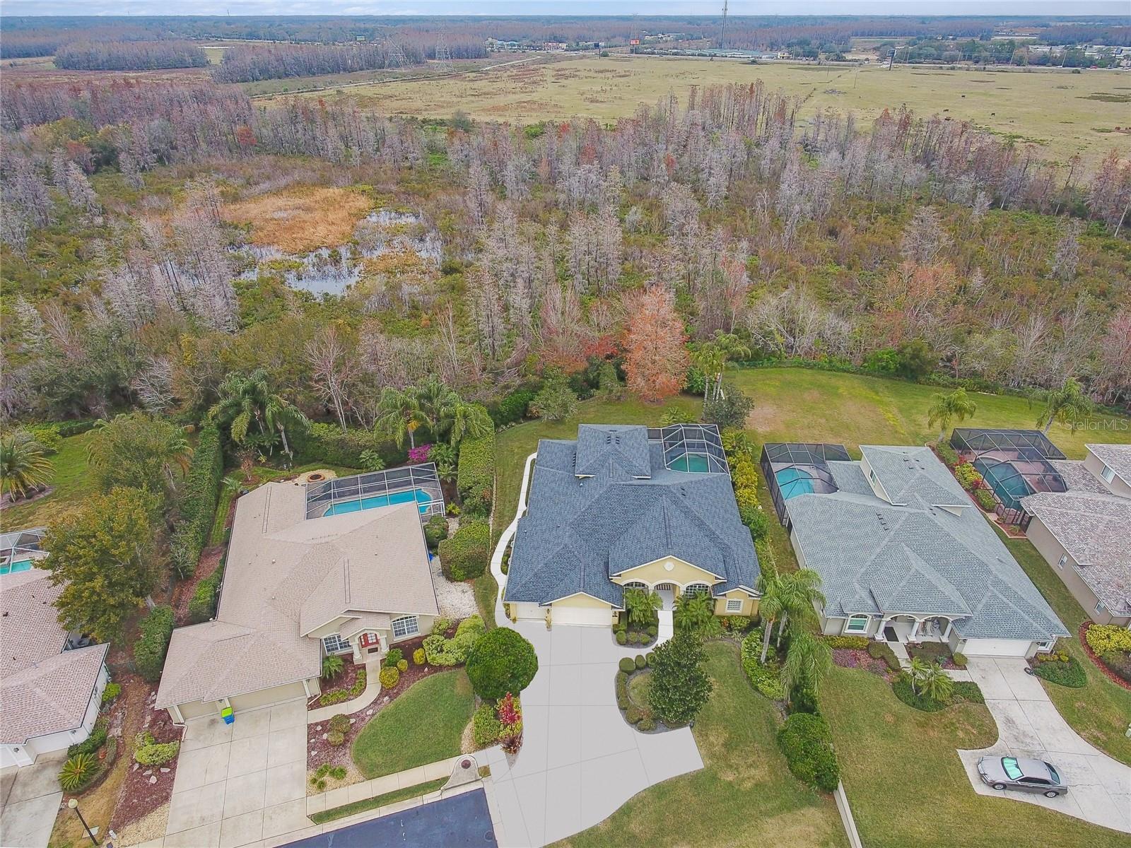 2126 LARCHWOOD CT, TRINITY, FL, 34655