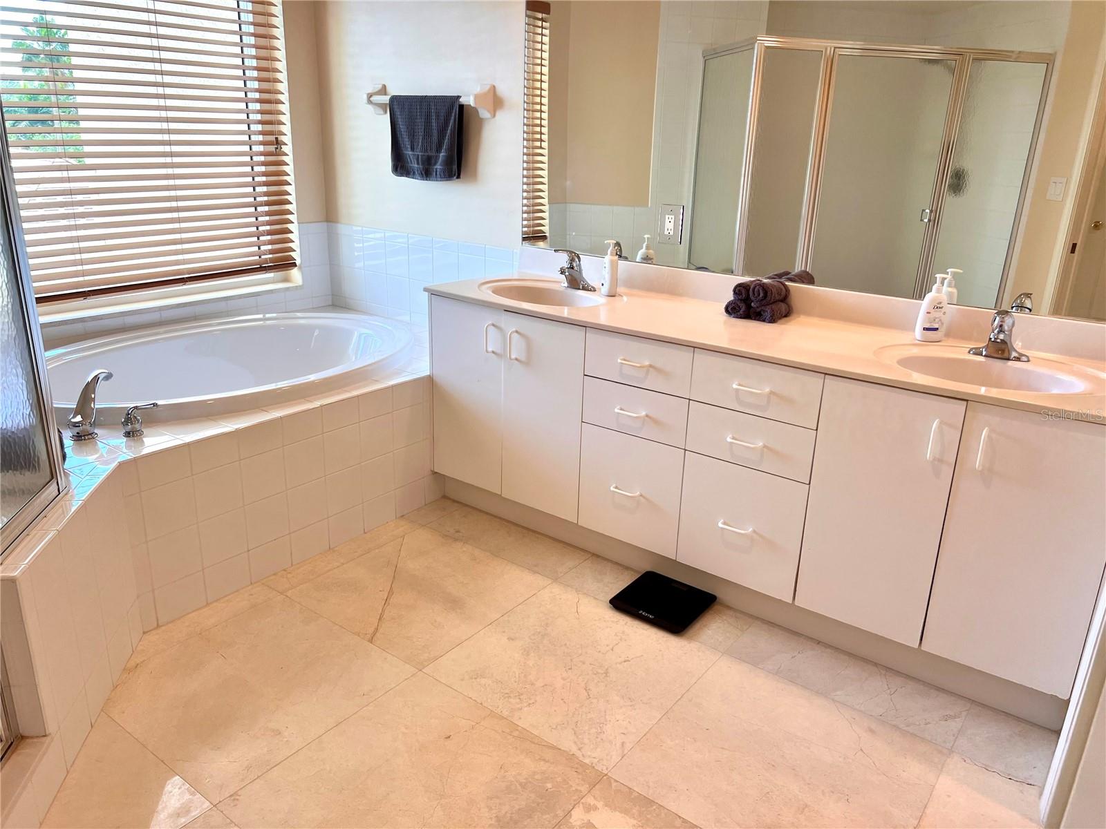 1180 GULF BLVD #306, CLEARWATER, FL, 33767