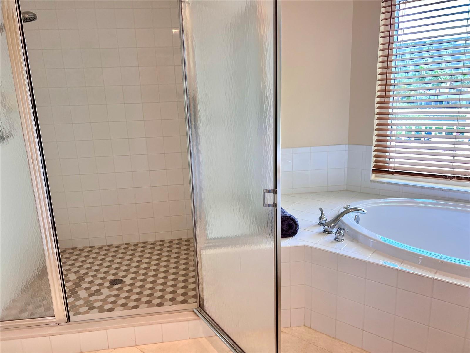 1180 GULF BLVD #306, CLEARWATER, FL, 33767