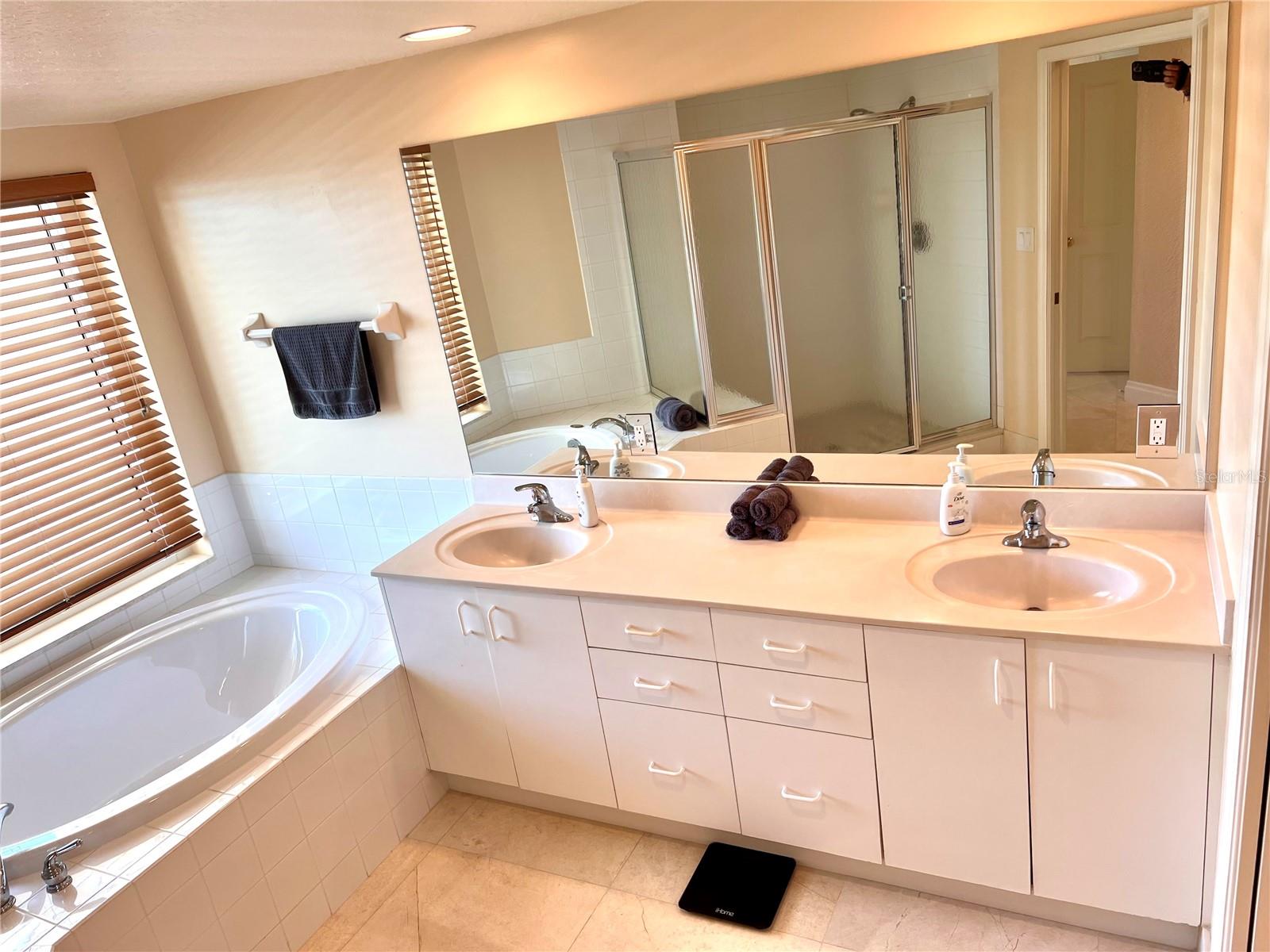 1180 GULF BLVD #306, CLEARWATER, FL, 33767