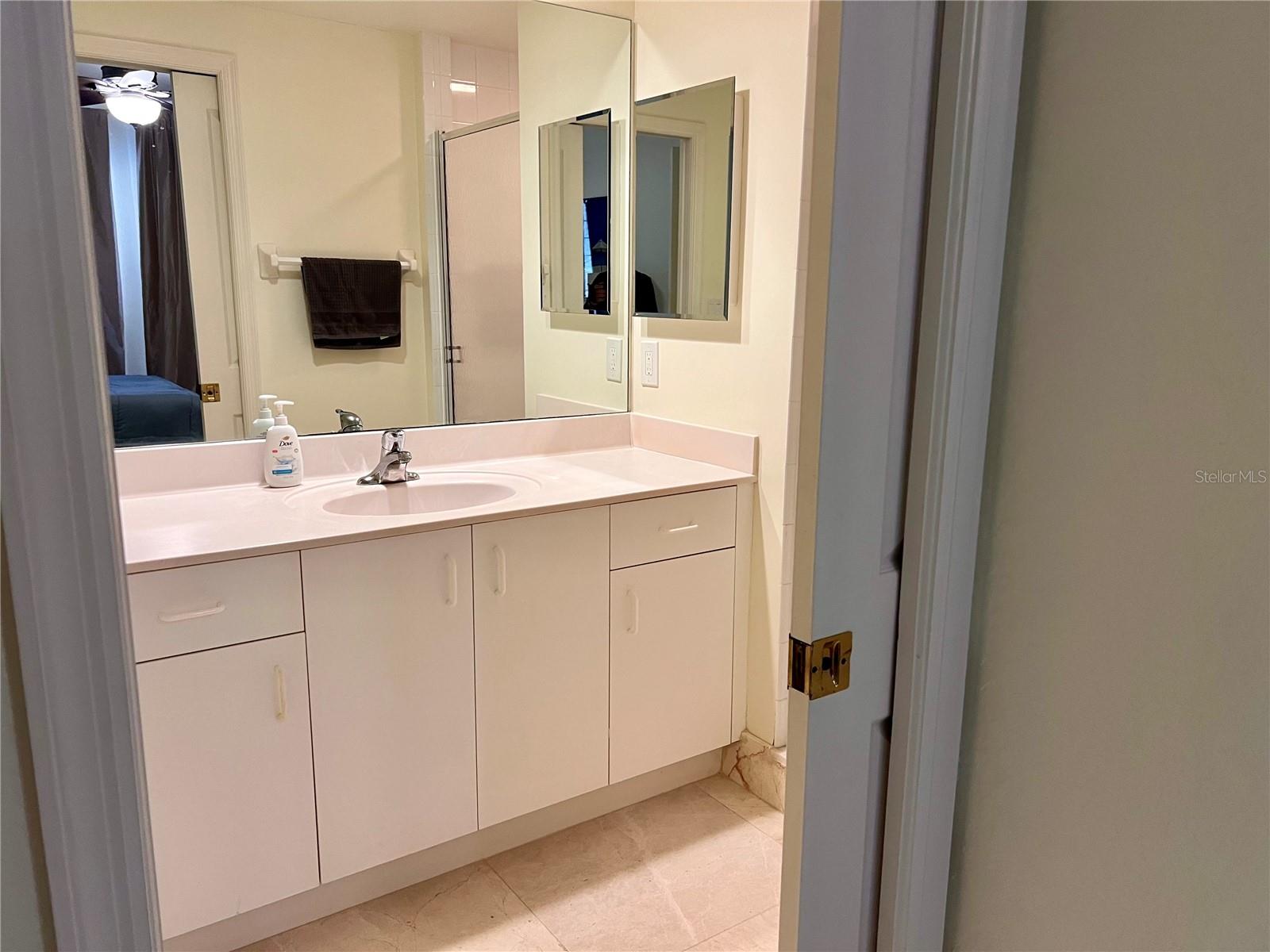 1180 GULF BLVD #306, CLEARWATER, FL, 33767