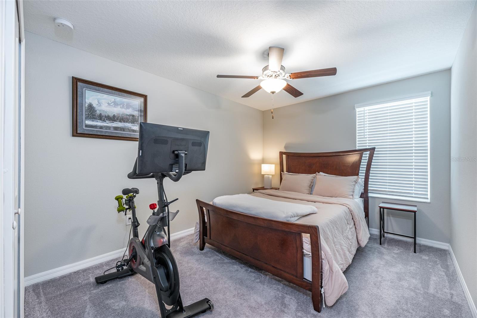 13614 WILD GINGER ST, RIVERVIEW, FL, 33579