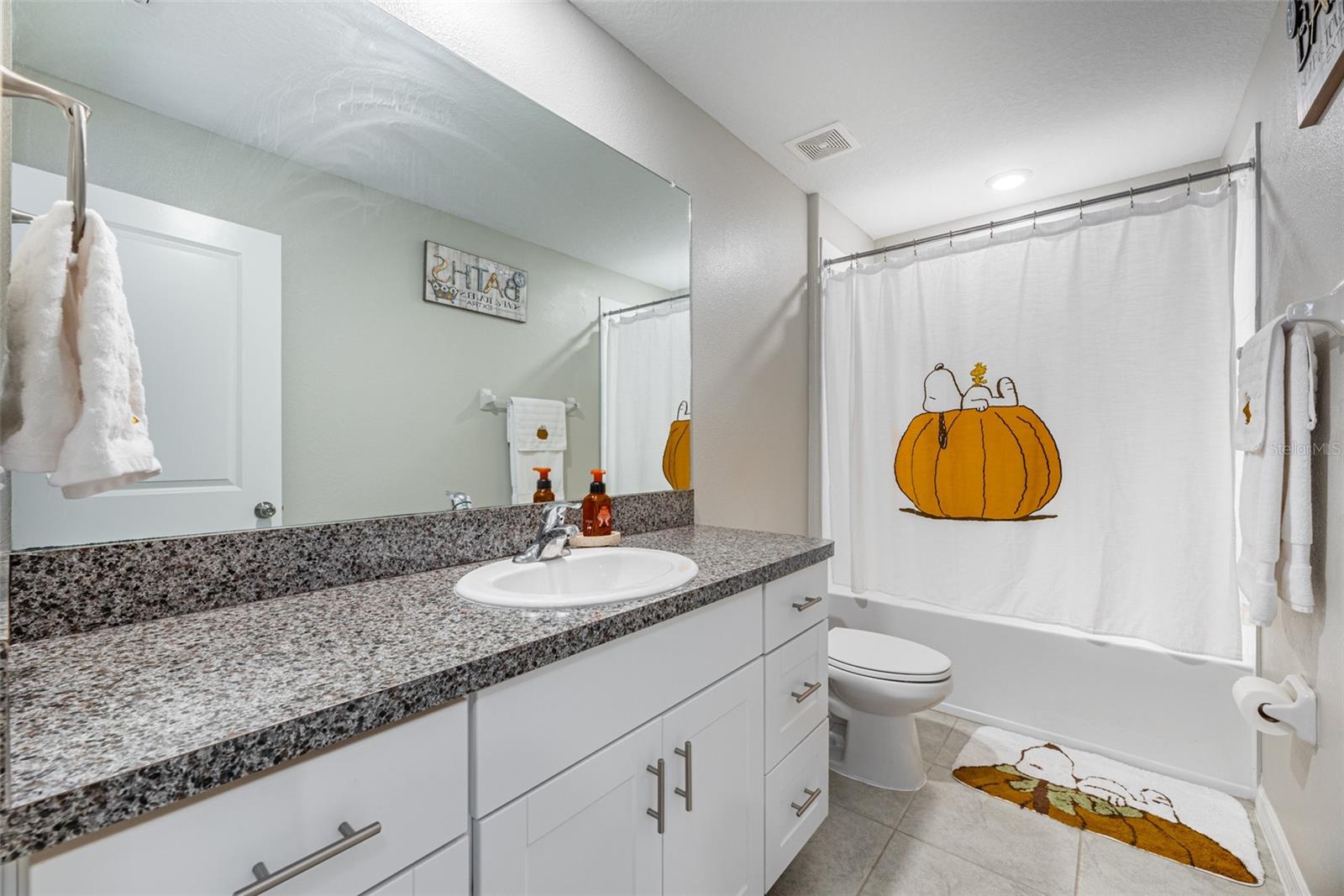 13614 WILD GINGER ST, RIVERVIEW, FL, 33579
