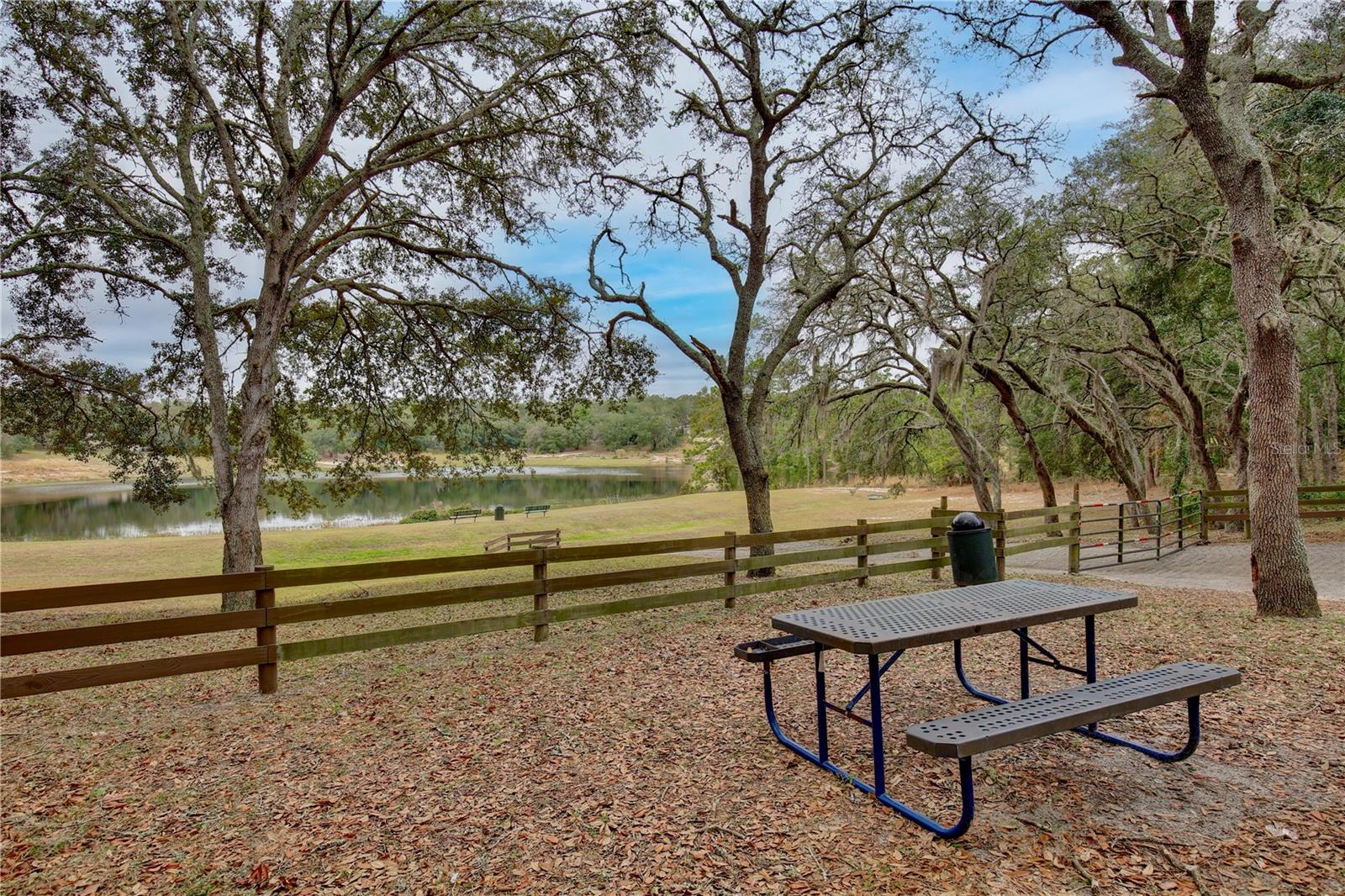 40210 ORANGE CIR, LADY LAKE, FL, 32159