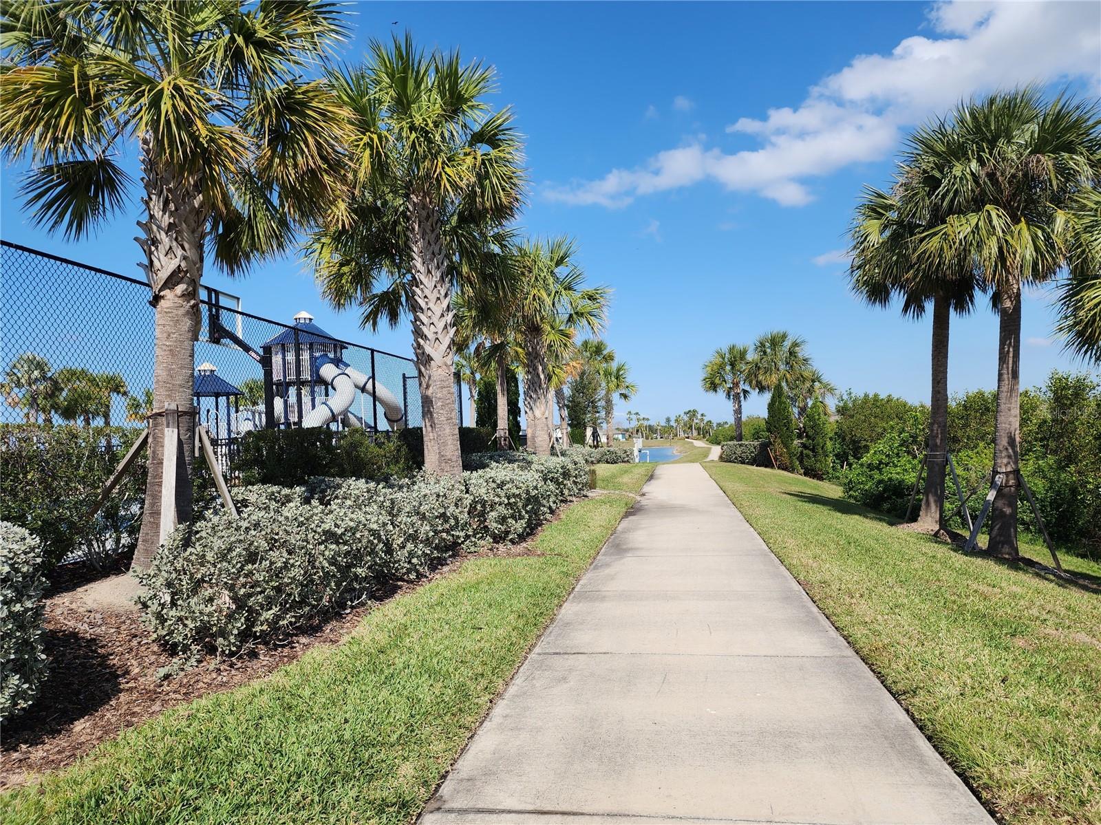 838 OLIVE CONCH ST, RUSKIN, FL, 33570