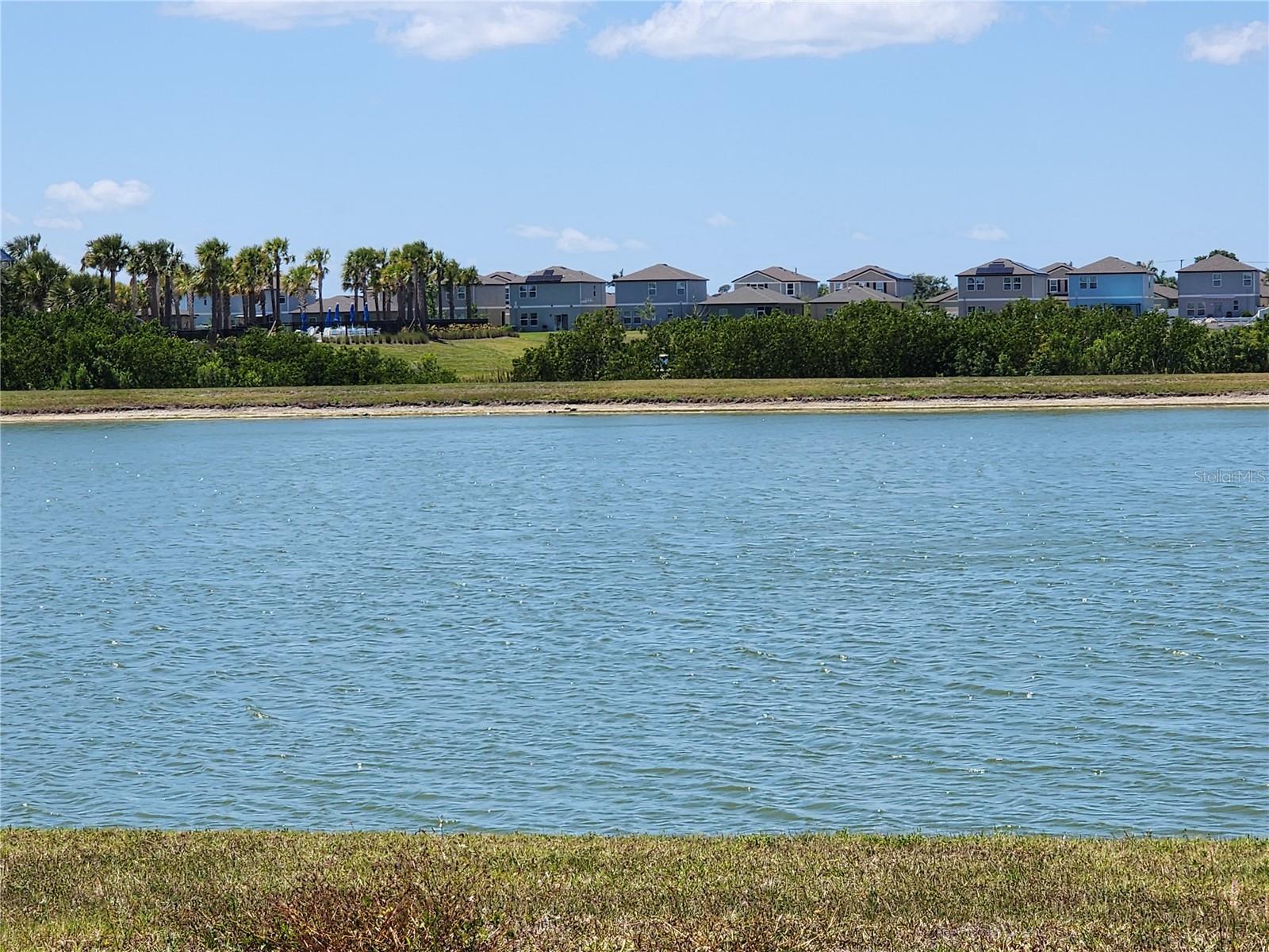 838 OLIVE CONCH ST, RUSKIN, FL, 33570