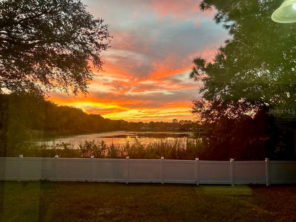 1415 MOHRLAKE DR, BRANDON, FL, 33511