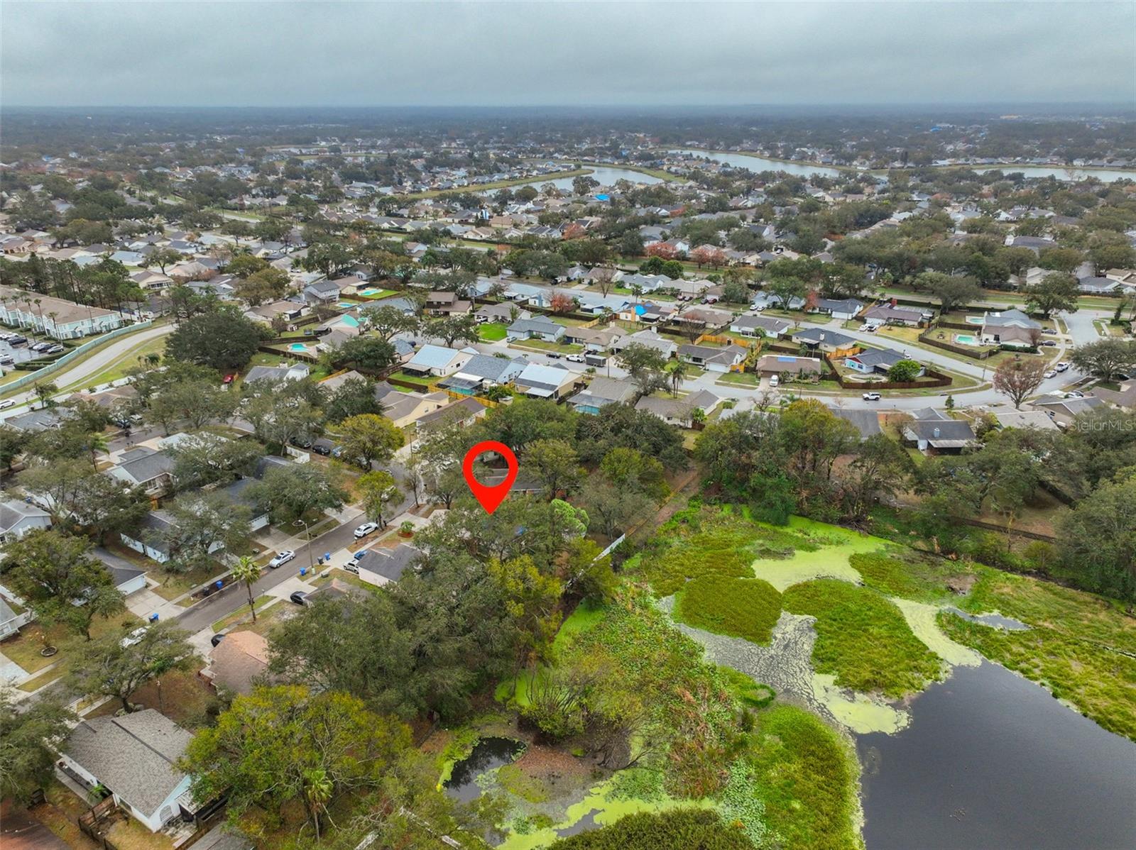 1415 MOHRLAKE DR, BRANDON, FL, 33511
