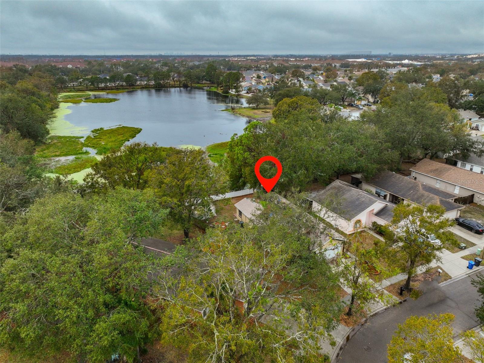 1415 MOHRLAKE DR, BRANDON, FL, 33511