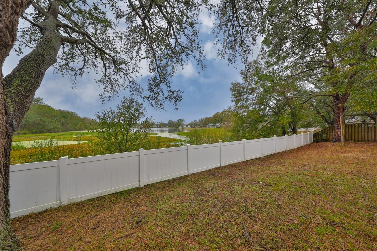 1415 MOHRLAKE DR, BRANDON, FL, 33511