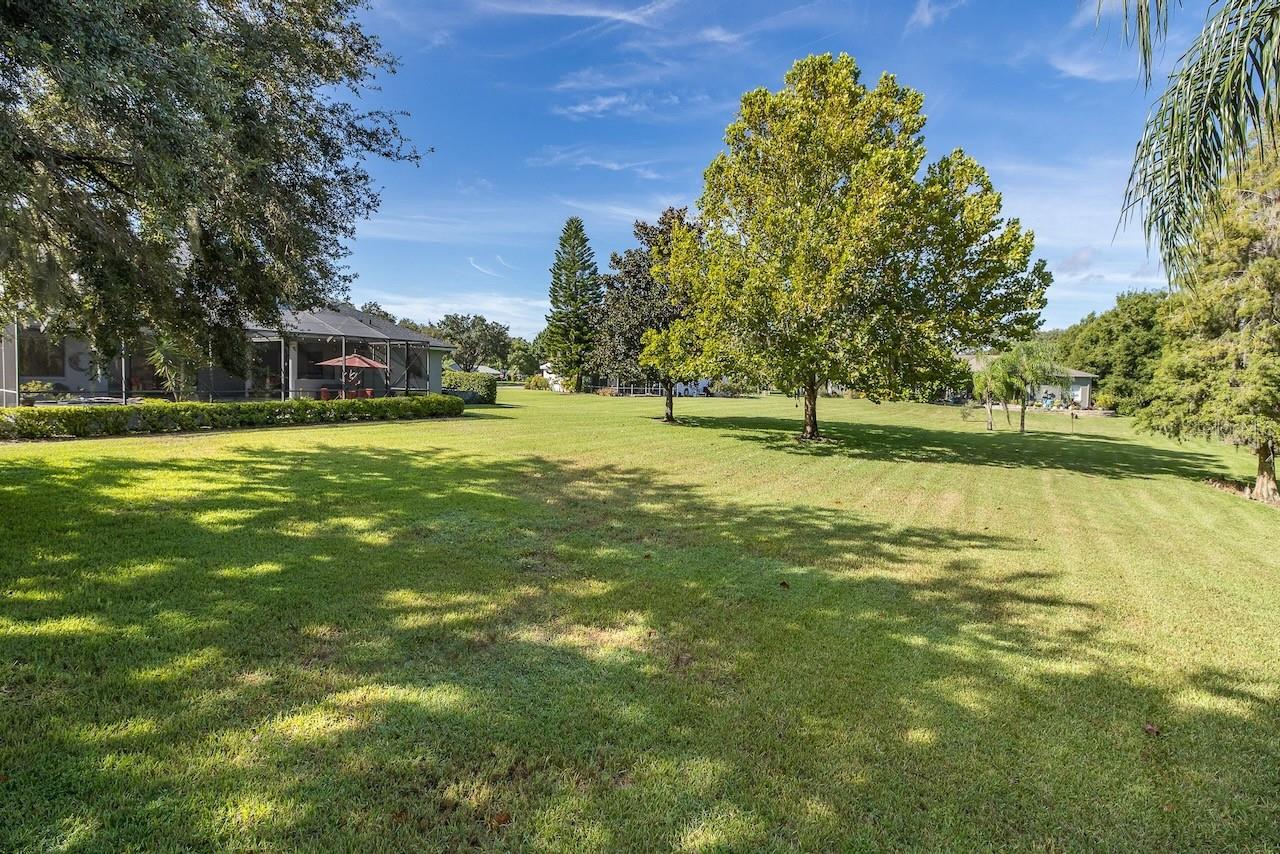 1523 FISHING LAKE DR, ODESSA, FL, 33556