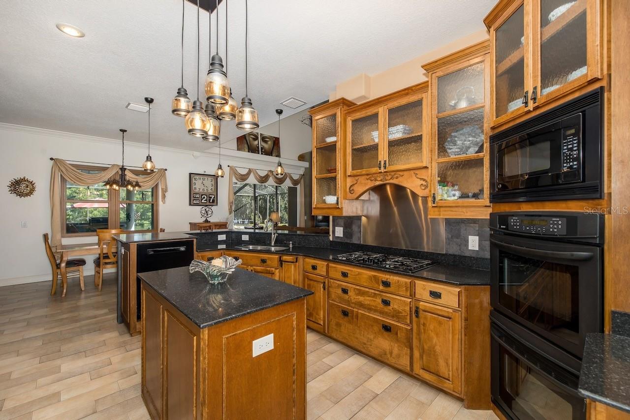 1523 FISHING LAKE DR, ODESSA, FL, 33556