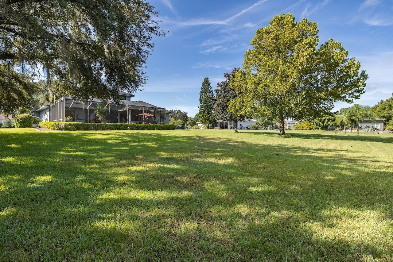 1523 FISHING LAKE DR, ODESSA, FL, 33556