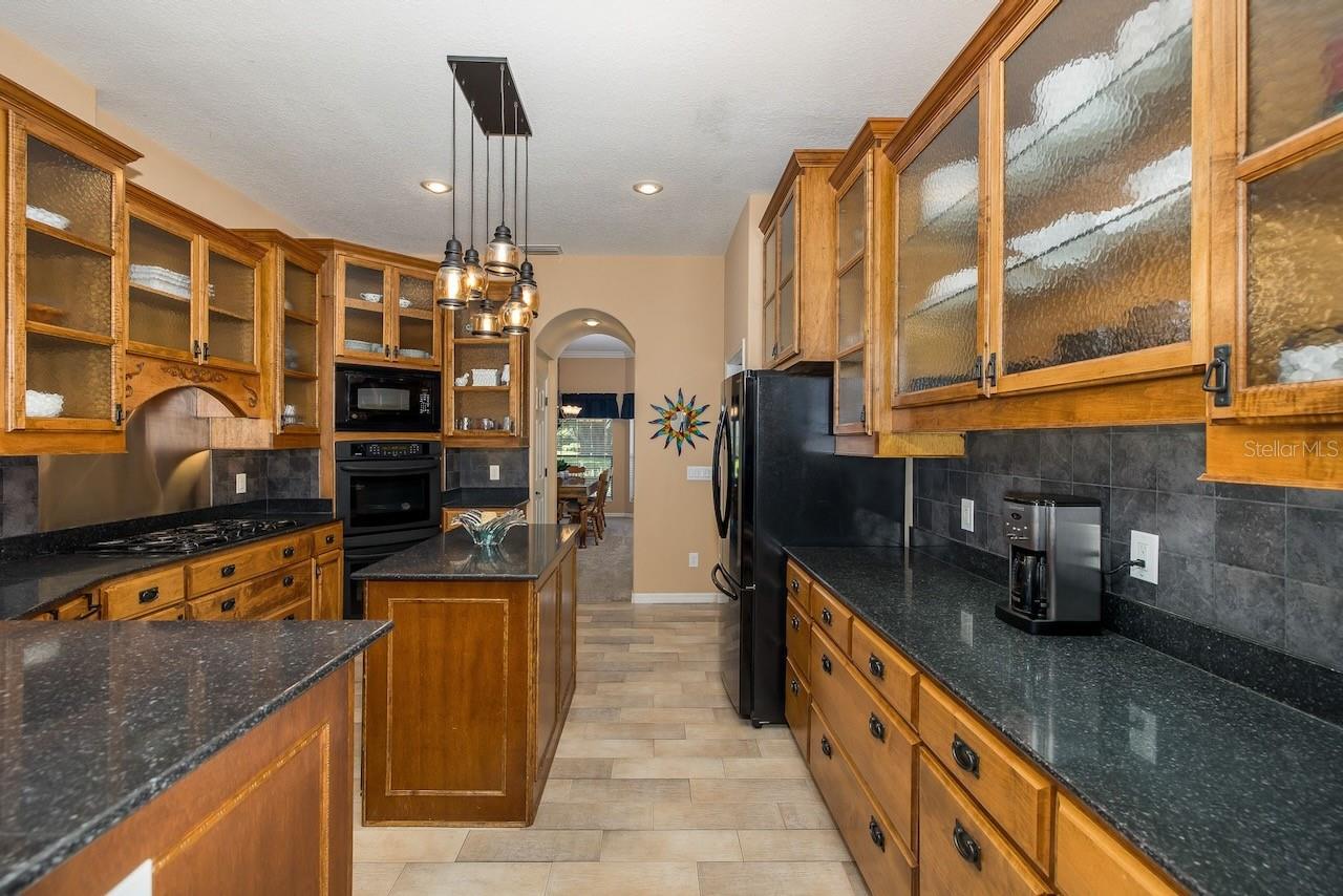 1523 FISHING LAKE DR, ODESSA, FL, 33556