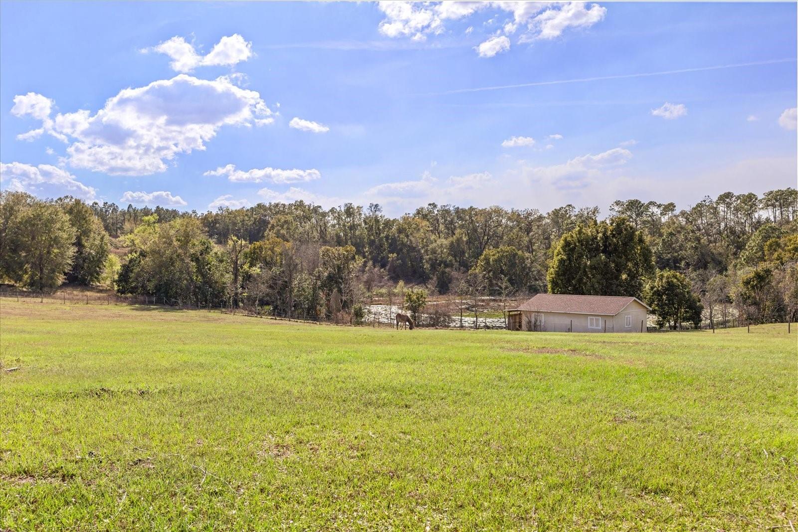 36129 E ELDORADO LAKE DR, EUSTIS, FL, 32736