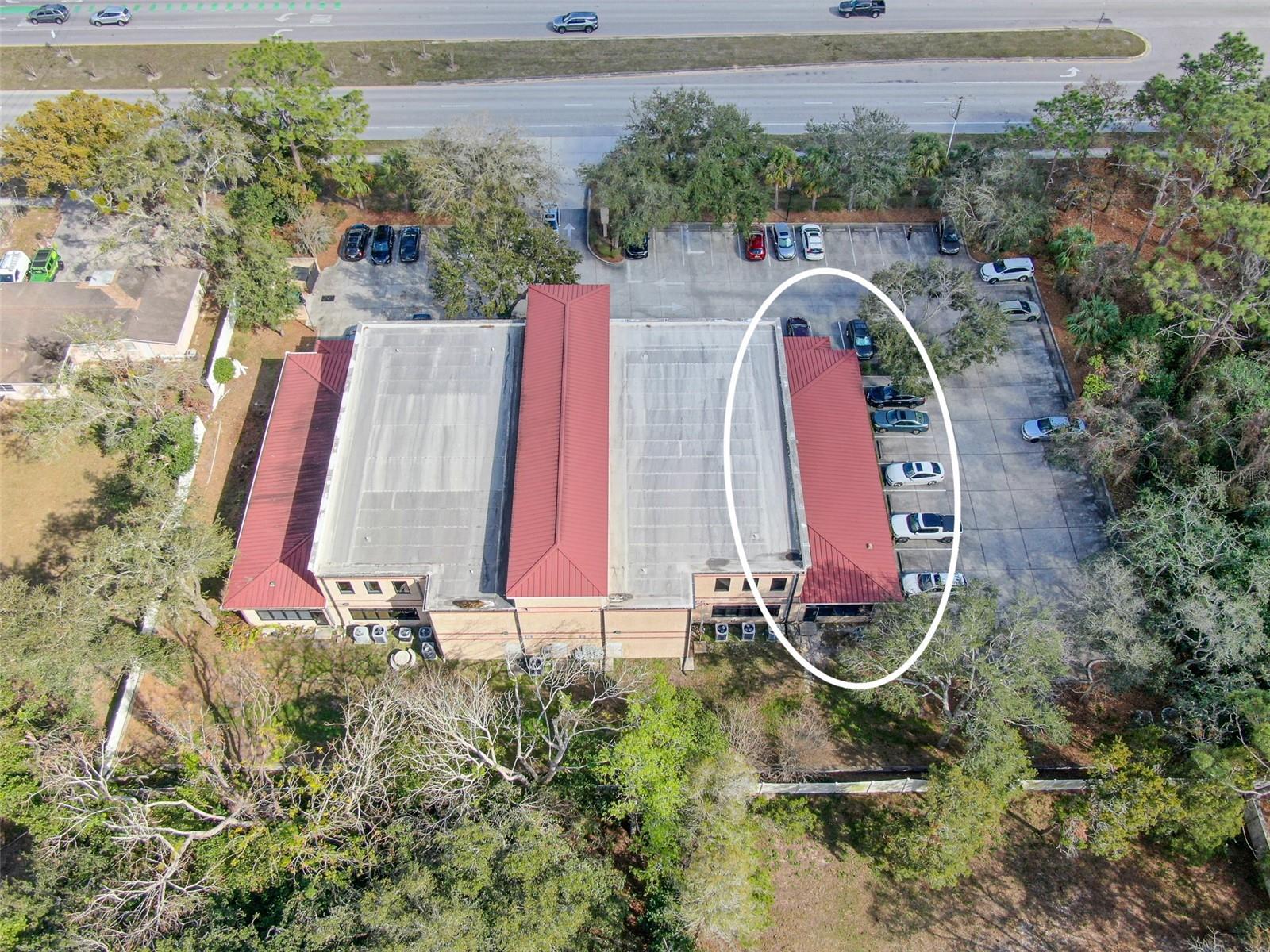 13220 N 56TH ST #13220, TAMPA, FL, 33617