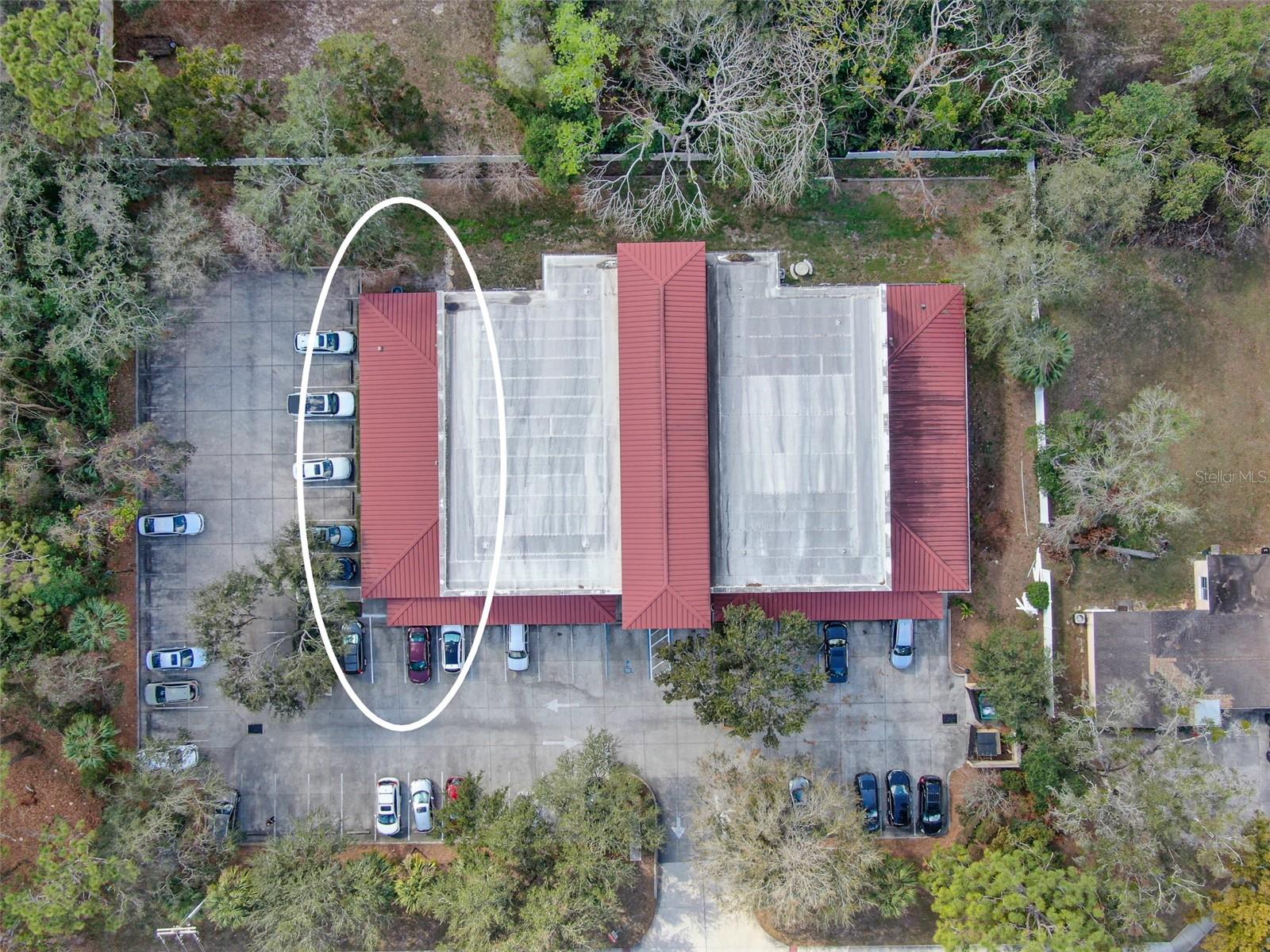 13220 N 56TH ST #13220, TAMPA, FL, 33617