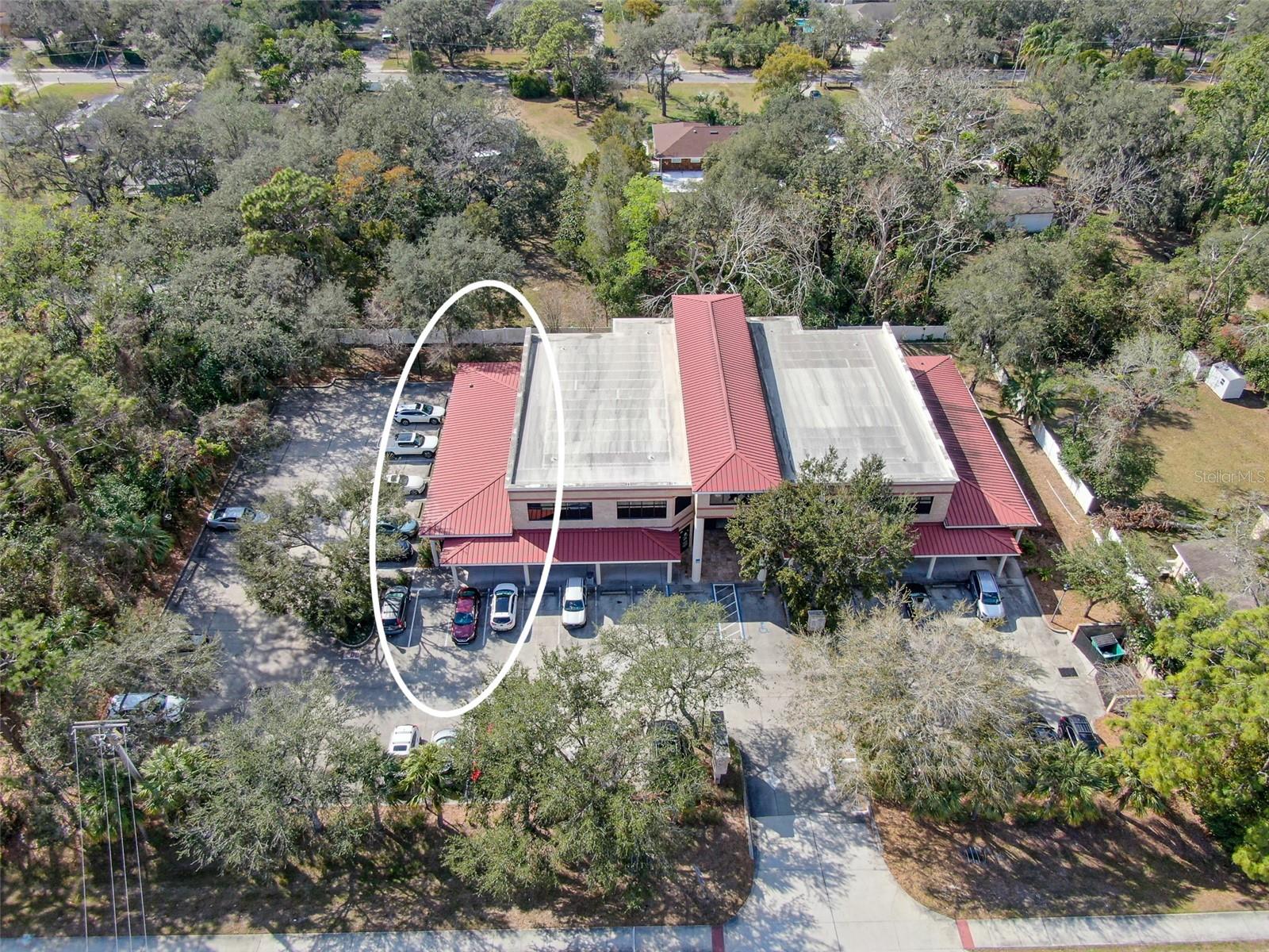 13220 N 56TH ST #13220, TAMPA, FL, 33617