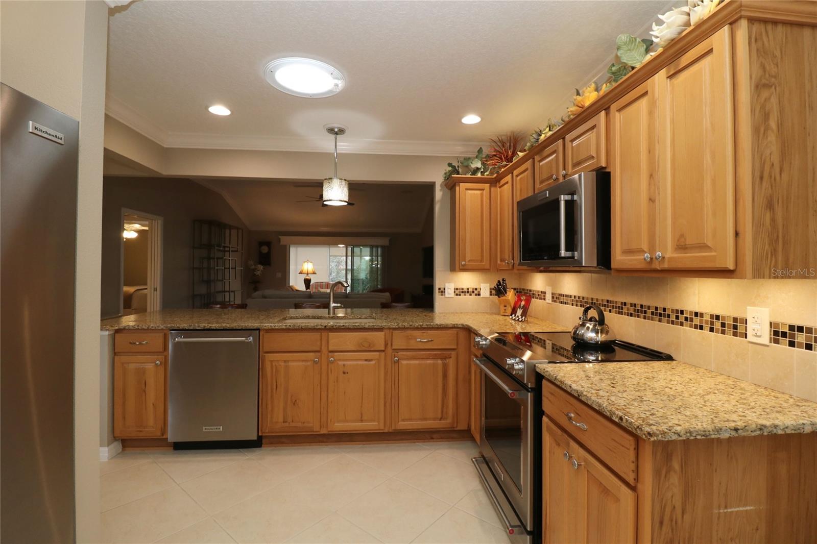 1189 HOMELAND PARK ST, THE VILLAGES, FL, 32162