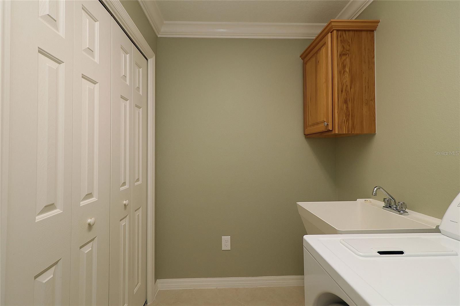 1189 HOMELAND PARK ST, THE VILLAGES, FL, 32162