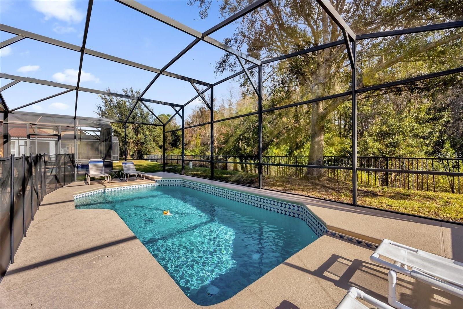 1031 MARCELLO BLVD, KISSIMMEE, FL, 34746