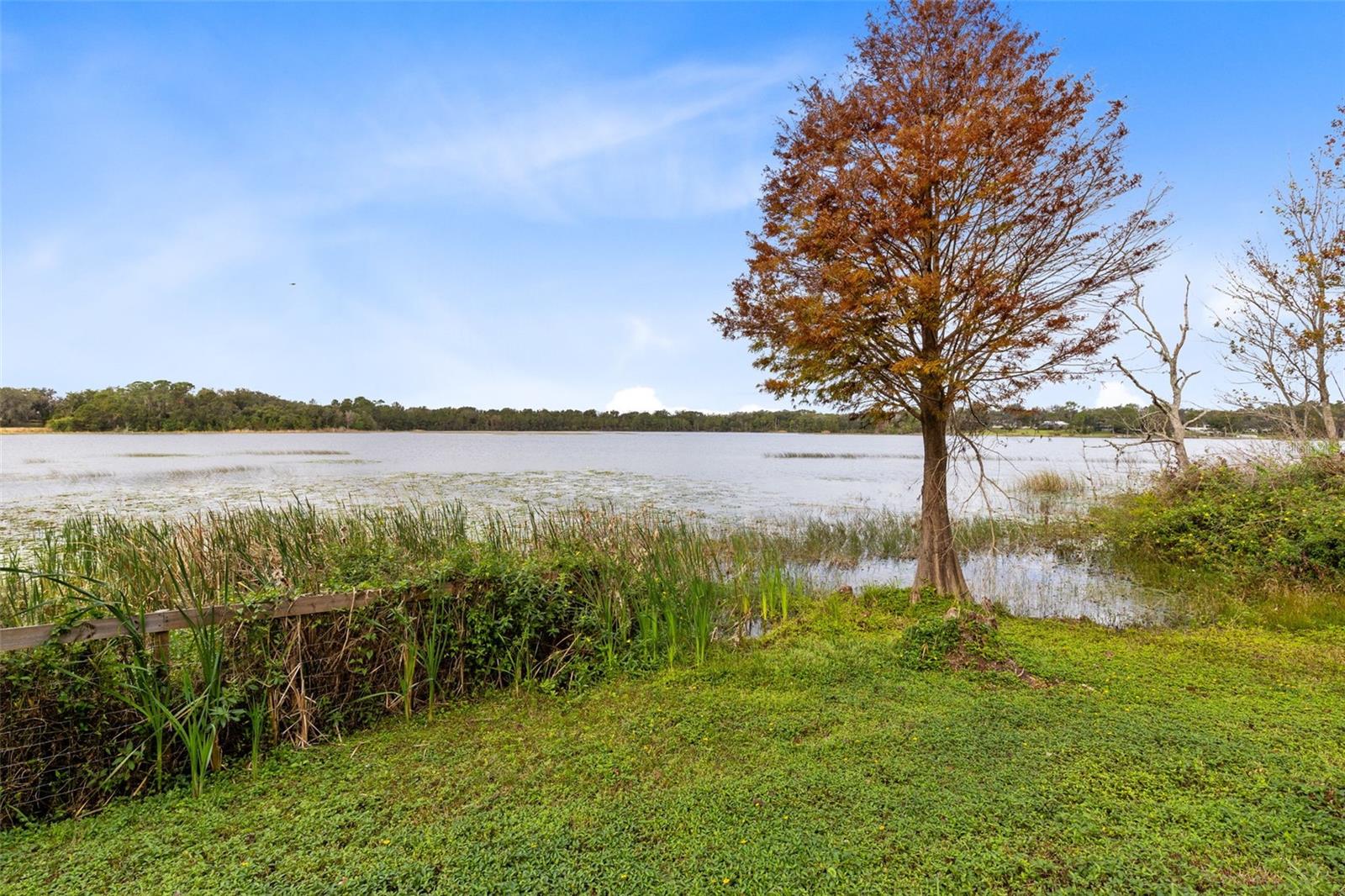 41235 SILVER DR, UMATILLA, FL, 32784