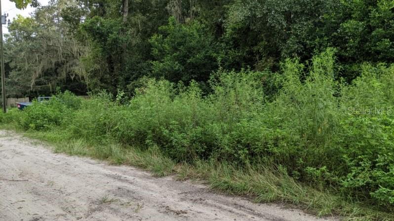 DORSEY DRIVE, NEW PORT RICHEY, FL, 34654