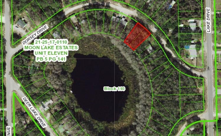 DORSEY DRIVE, NEW PORT RICHEY, FL, 34654