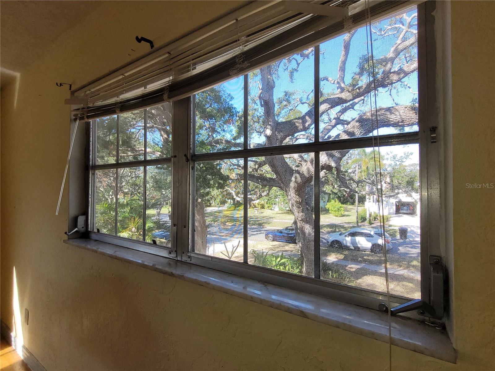 JUNGLE SHORES 2, ST PETERSBURG, FL, 33710