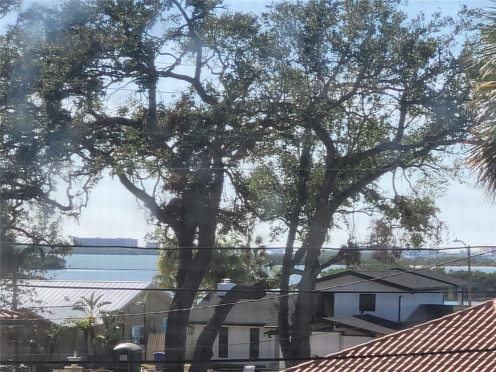 JUNGLE SHORES 2, ST PETERSBURG, FL, 33710