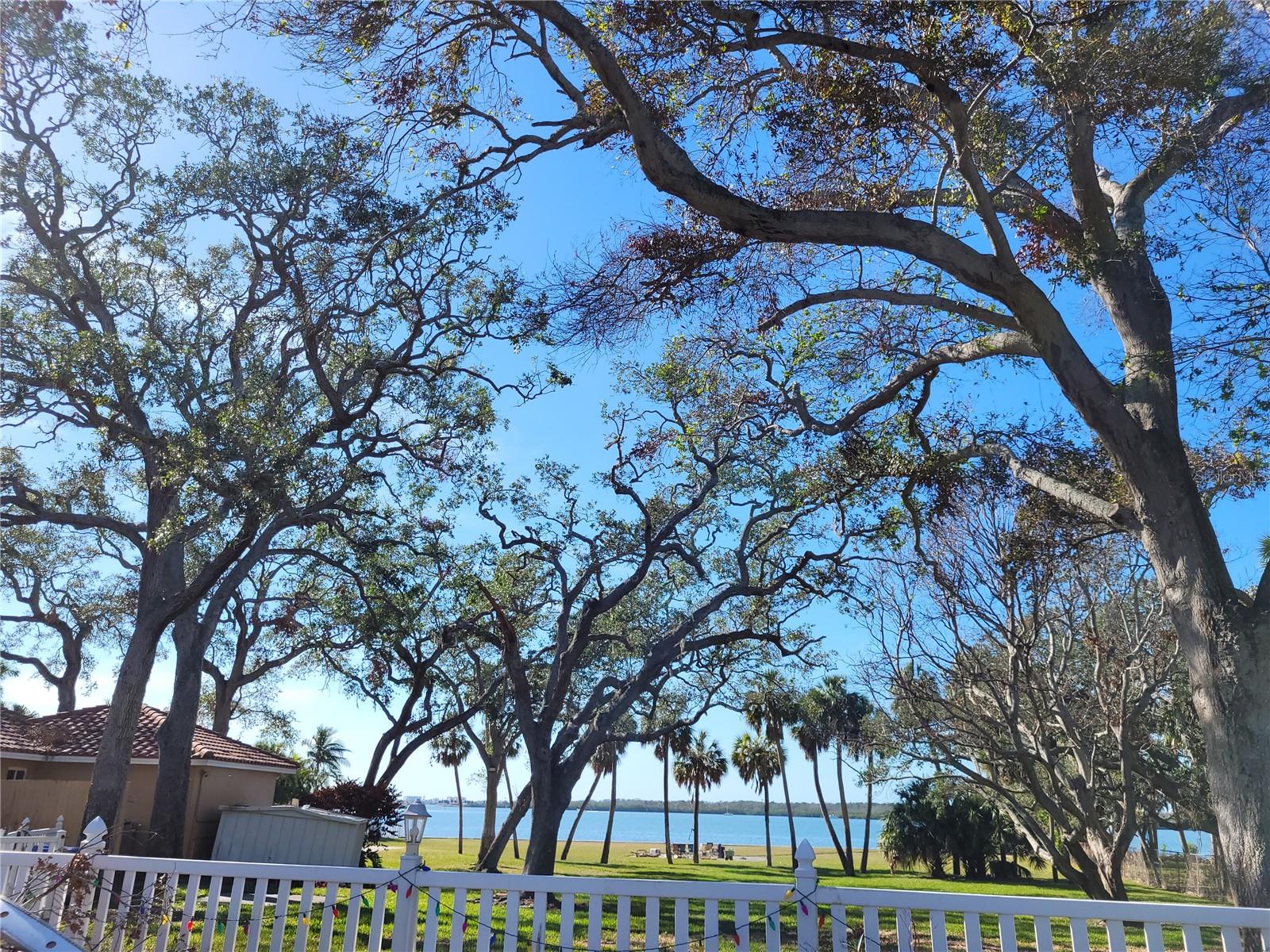 JUNGLE SHORES 2, ST PETERSBURG, FL, 33710